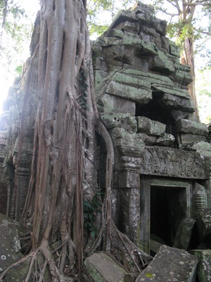 [IMG_56293.jpg]