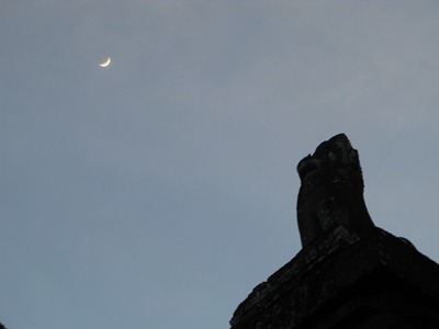 [IMG_57213.jpg]