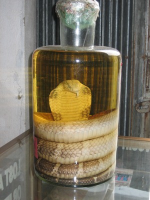 [IMG_86203.jpg]