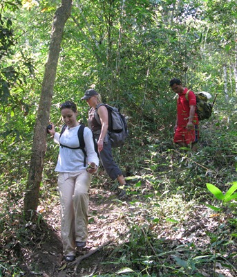 [IMG_66354.jpg]
