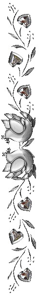 OMilla.png