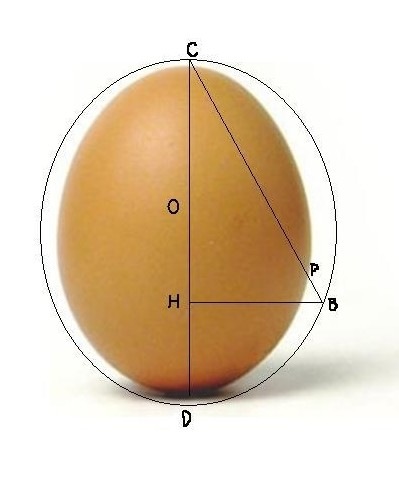 [uovo[5].jpg]