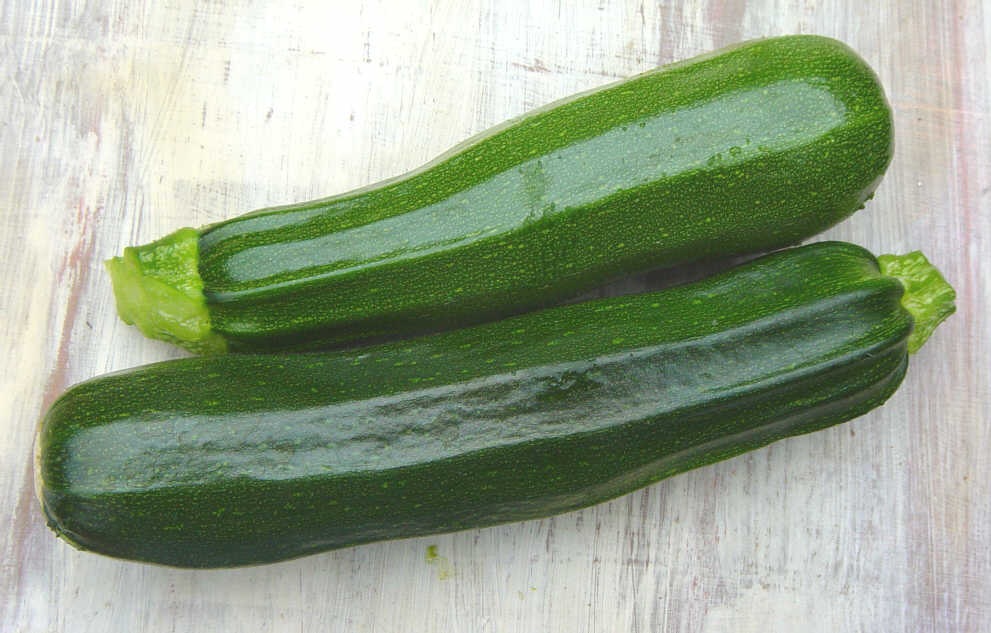 [Courgettes16.jpg]