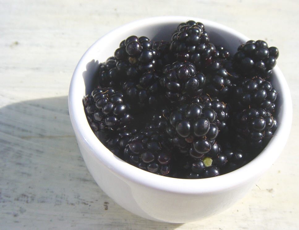 [Blackberries 1[2].jpg]