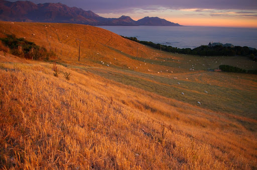 Kaikoura