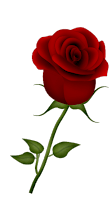 ROSA%20VERM_4u2nv.png