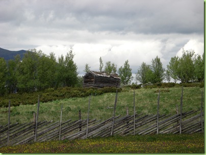 Tur til Murdalsetra i Skåbuferien juni 09 019
