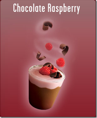Yoplait Delights Chocolate Raspberry