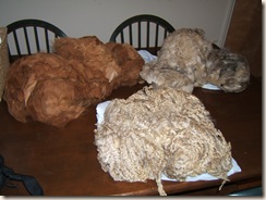 three fleeces