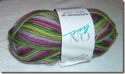 knitting for blog and rav 006