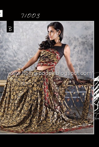 [indian saari. pakistani saari. bangladeshi saari. pakistani fashion.. indian fashion. latest dresses (52)[2].jpg]