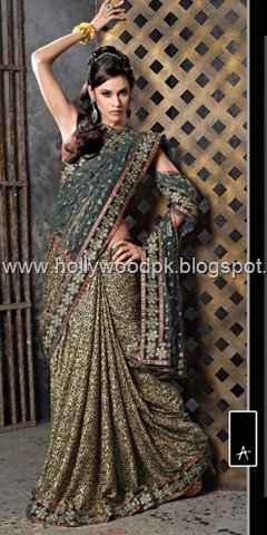 [indian saari. pakistani saari. bangladeshi saari. pakistani fashion.. indian fashion. latest dresses (58)[2].jpg]