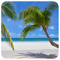 Beach-Live Wallpaper + logo