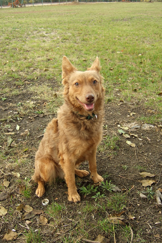 dscf8224.jpg