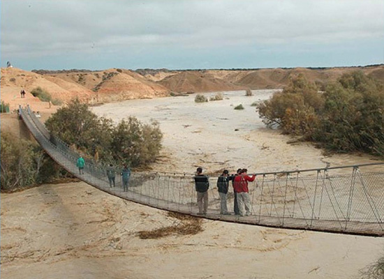 Negev Desert Flood