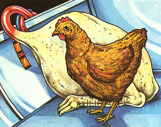 Winston Churchill's future disembodied chicken