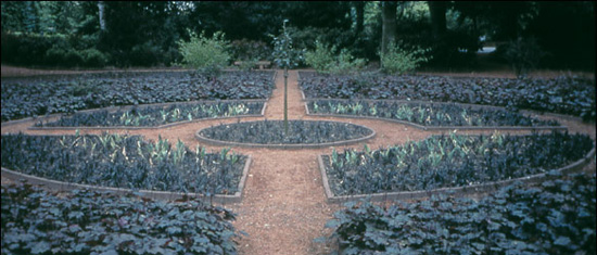 Jenny Holzer's Black Garden