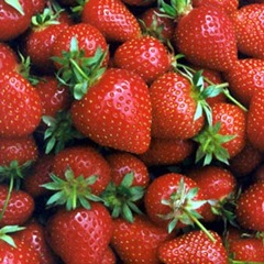 [strawberries[2].jpg]