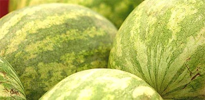 Watermelons-595x270