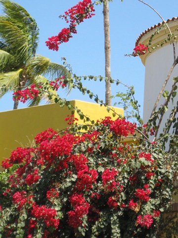 [CaboSanLucas30903.jpg]