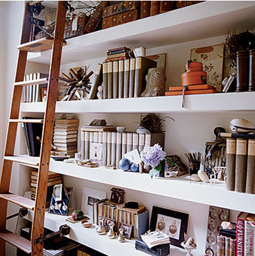 Bookshelves with Library Ladders 