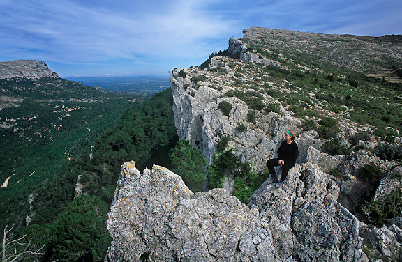 Cingles del Portell de Llaberia, serra de Llaberia, al fons a l'esquerra la mola de Colldejou,Tivissa, Ribera d'Ebre, Tarragona