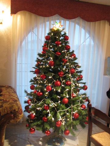 [5472 Christmas Tree in Lobby of Ramada Inn South Padre Island Texas[2].jpg]