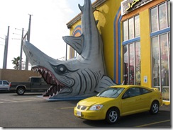 5480 Jaws Souvenir Shop South Padre Island Texas