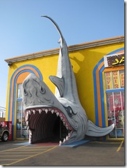 5482 Jaws Souvenir Shop South Padre Island Texas