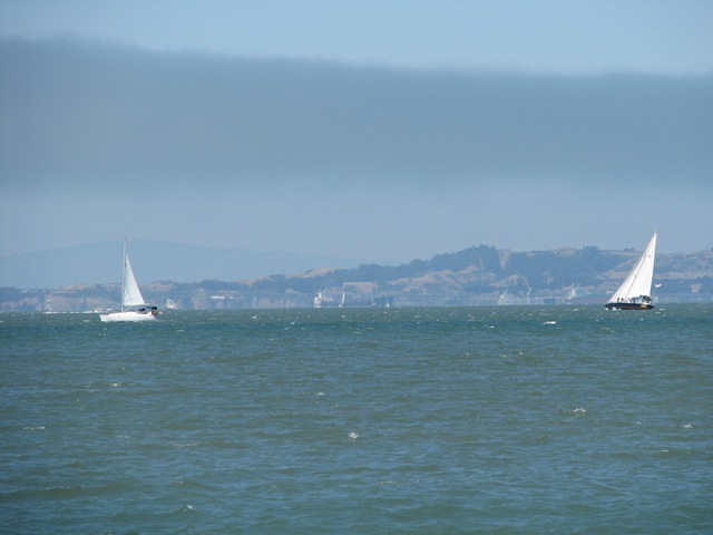 [3354 San Francisco Bay CA[2].jpg]