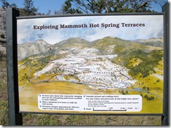 5809 Mammoth Hot Springs Yellowstone National Park