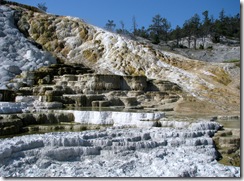 5819 Mammoth Hot Springs Terraces Yellowstone National Park