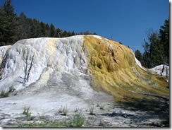 5860 Mammoth Hot Springs Orange Spring Mound Yellowstone National Park