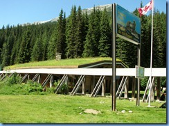 0487 Rogers Pass Glacier National Park BC