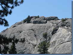 2584 Moro Rock Sequoia National Park CA