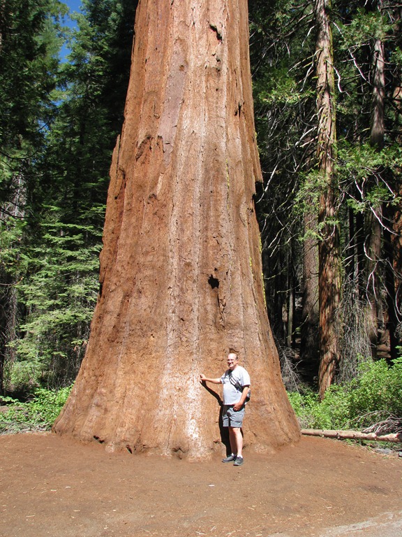 [2195 Mariposa Grove Sequoia Trees YNP CA[3].jpg]