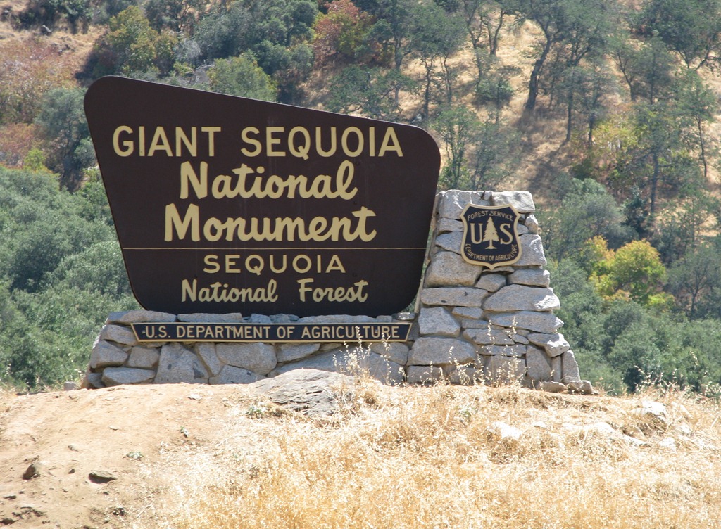 [2304 Giant Sequoia National Monument CA[3].jpg]