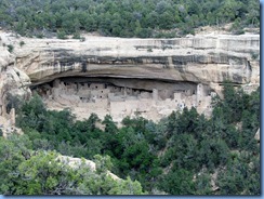 5922 Mesa Verde National Park Cliff Palace View Camera Point CO
