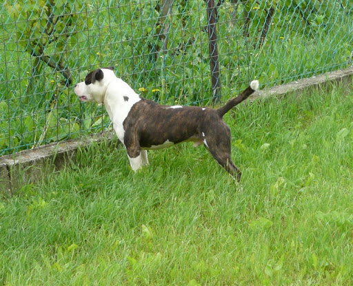 Sniff%20100520_2.jpg