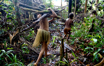 Kombai children, West Papua © Grenville Charles/ www.grenvillecharles.co.uk