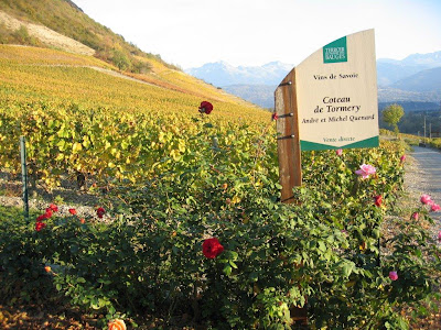  Michel Quenard's vineyard in Chignin