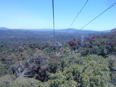 Gliding by cable car over the Tropical Rainforest