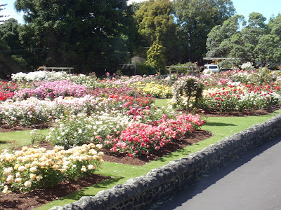 Rose Park Garden