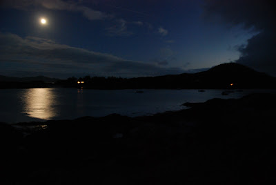 Moonlight on Westcove Harbor