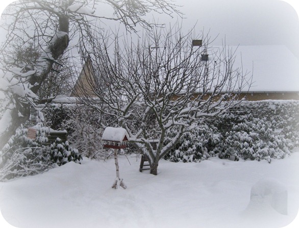 Sne i haven, 6. feb. 2010, picniked