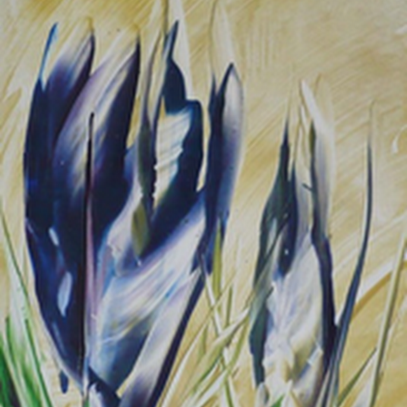 ACEO Series - Tulips