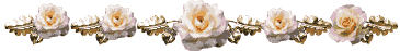 sissa.png
