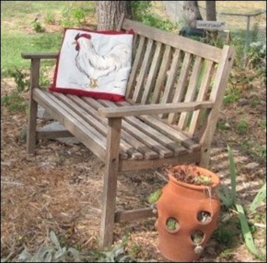 Rooster pillow and free old bench 009