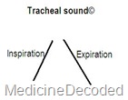 tracheal sound