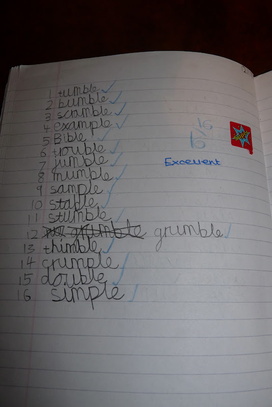 ryan-s-blog-spellings-test